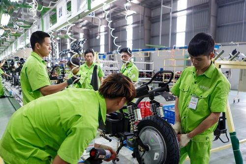 Xe điện Pega LTT nợ 2,7 tỷ đồng tiền bảo hiểm