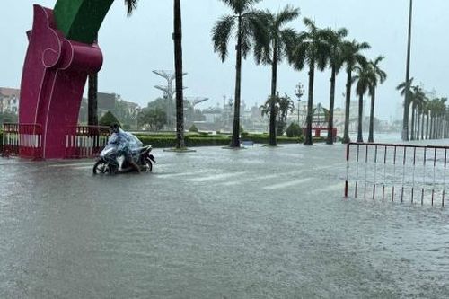 Chỉ đạo của Ban Bí thư về việc ứng phó với cơn bão số 3 (bão Wipha)