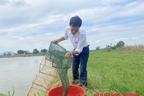 Nuôi trồng thủy sản theo hướng an toàn trong mùa mưa bão