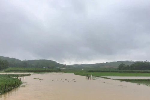 Quê nhà ngày mưa bão