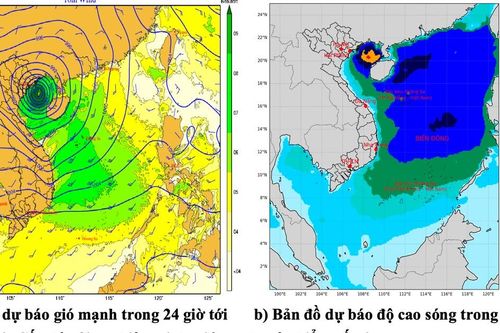Vùng biển Gia Lai có gió mạnh, sóng to, đất liền mưa giông