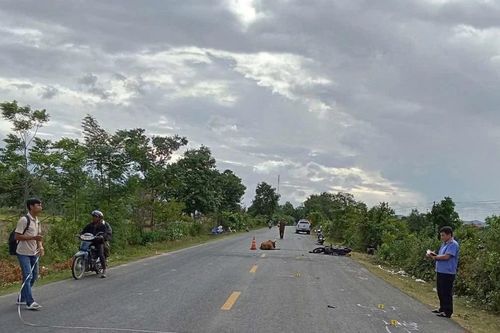 Gia Lai: Tông vào bò trên quốc lộ 25, 1 người đi xe máy tử vong