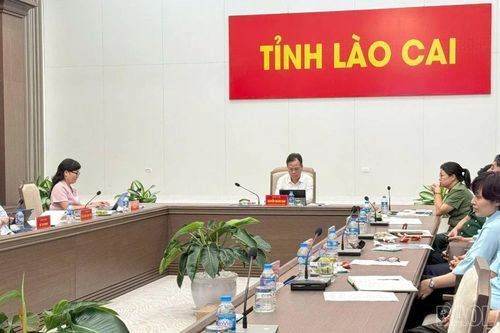 Lào Cai tham dự Hội nghị trực tuyến về đẩy mạnh ngoại giao kinh tế, tạo đà tăng trưởng hai con số