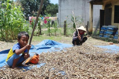 Khơi dậy ý chí thoát nghèo ở vùng đồng bào DTTS