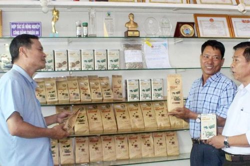 Điểm sáng của kinh tế hợp tác ở Lâm Đồng