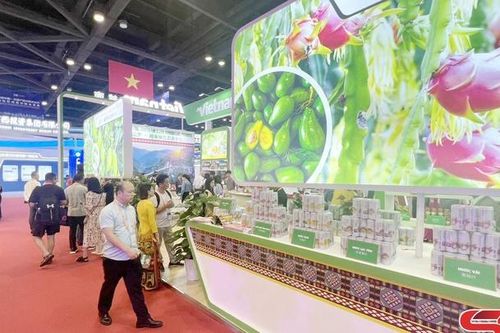 Chủ động liên kết, hội nhập quốc tế