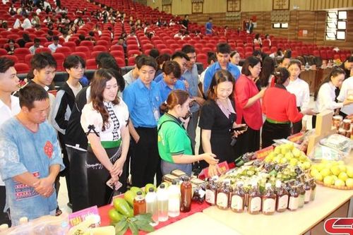 Thắp sáng ước mơ khởi nghiệp