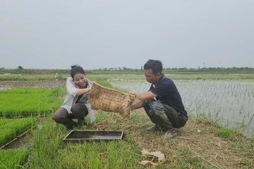 HTX tại Hải Phòng chủ động trước mưa bão
