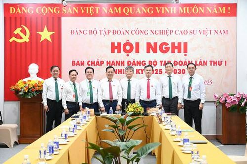 Đồng chí Trần Công Kha tái đắc cử Bí thư Đảng ủy VRG nhiệm kỳ 2025 - 2030