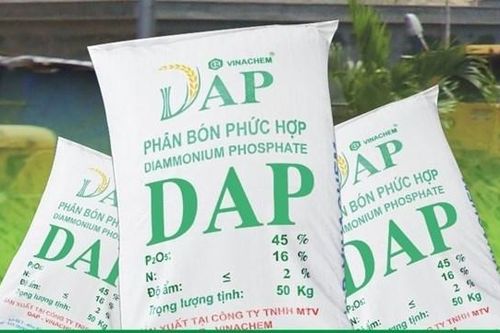 DAP - Vinachem (DDV) lãi ròng 275 tỷ đồng sau 6 tháng đầu năm 2025