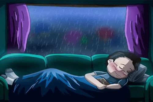 Vì sao chúng ta ngủ ngon hơn trong ngày mưa gió?
