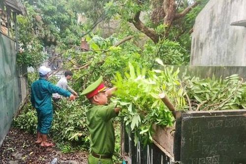 Xã Nam Phù cắt tỉa cây xanh, ứng phó cơn bão số 3