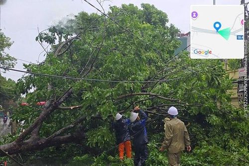 Hơn 2 triệu khách hàng bị mất điện do bão Wipha được cấp điện trở lại