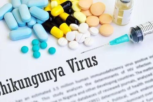 Tổ chức Y tế Thế giới kêu gọi khẩn cấp đề phòng đại dịch virus Chikungunya