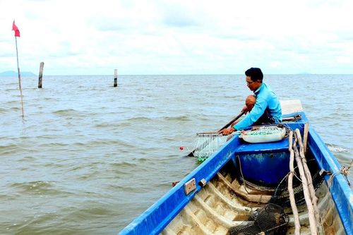 Câu kiều ở xứ biển