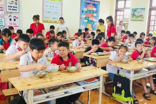 Chi tiết mức hỗ trợ bữa ăn bán trú cho học sinh tiểu học tại Hà Nội