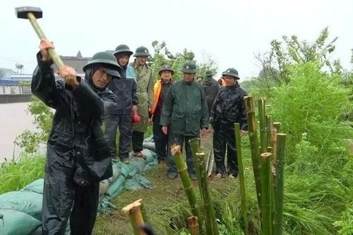 Hưng Yên: Tràn bờ bao ngoài đê sau bão số 3, không phải vỡ đê
