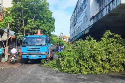 Thanh Hóa: Khẩn trương vệ sinh môi trường, phòng chống dịch bệnh tại nhiều khu dân cư sau mưa bão
