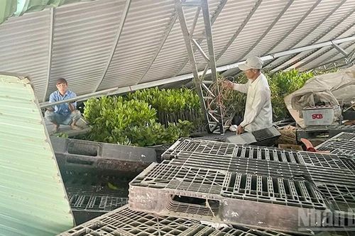 Đồng Tháp: Thăm hỏi người dân bị ảnh hưởng do dông lốc
