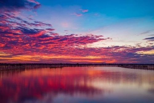 Du ngoạn Đầm Chuồn ngắm hoàng hôn, thưởng hương vị Huế dân dã