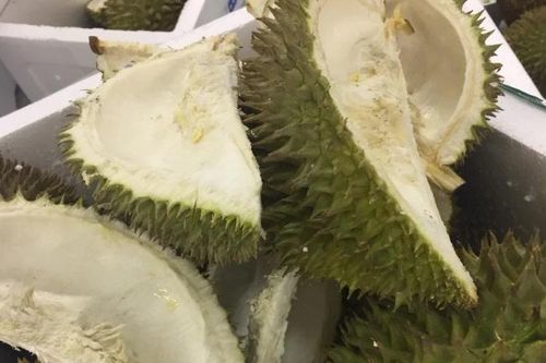 Phân bón sinh học từ vỏ sầu riêng và vỏ sò