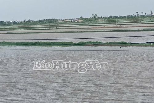 Hưng Yên: Tập trung khắc phục thiệt hại do bão số 3 gây ra, sớm đưa các hoạt động trở lại bình thường