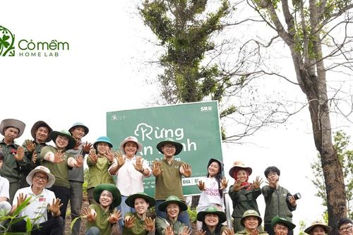 10ha 'Rừng An Lành' đánh dấu hành trình 10 năm của Cỏ Mềm