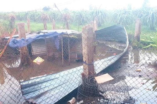 Gió lớn do hoàn lưu bão số 3 làm tấm tôn rơi đè trúng người phụ nữ