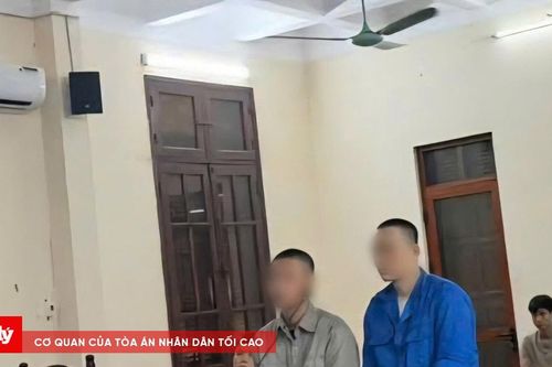 Tổ chức sử dụng ma túy trong nghĩa trang, hai đối tượng lĩnh án