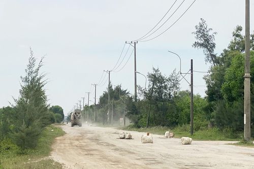 Đường xuống cấp, dân mang gốc cây, thùng xốp ngăn xe phóng nhanh, vượt ẩu