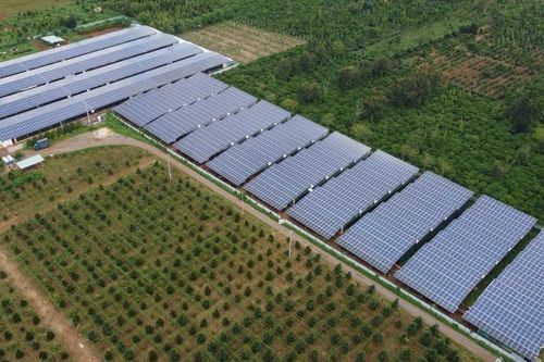Nông dân 'ăn chắc mặc bền' khi hợp tác với Japfa Việt Nam chăn nuôi gà gia công