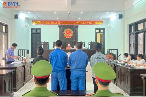 Hội đồng Thẩm phán TAND tối cao hướng dẫn áp dụng một số quy định của Bộ luật Hình sự