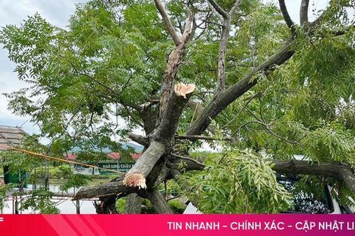 Những khu vực không nên đỗ ô tô khi trời mưa lớn