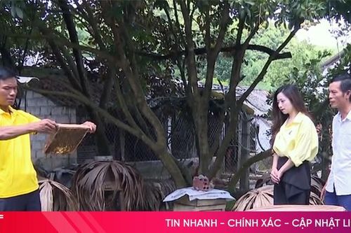 Mật ong Vũ Quang - nếm một lần là nhớ mãi