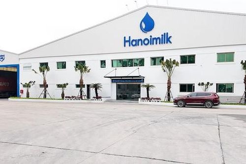 Chi phí lãi vay đè nặng lợi nhuận của Hanoimilk
