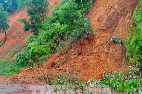 Khắc phục hậu quả bão số 3: Hà Nội chủ động xử lý các điểm đê xung yếu, sạt lở đất