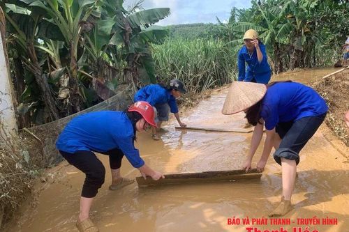 100% đoàn viên thanh niên xã, phường ra quân dọn dẹp vệ sinh sau bão