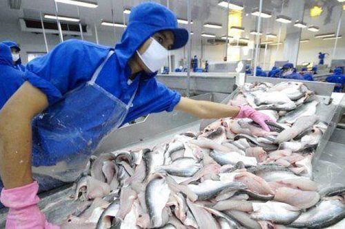 Nam Việt: Lãi quý II gấp gần 4 lần 2 năm trước cộng lại