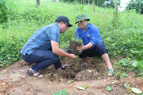 Bảo vệ môi trường vì mục tiêu phát triển bền vững