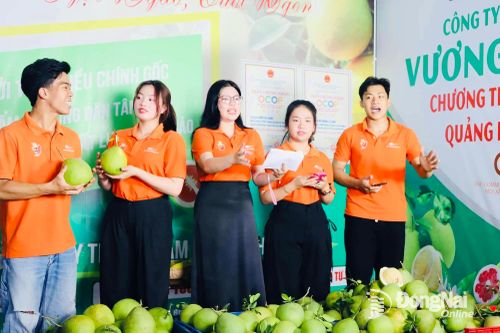 Livestream bán hàng: Nông dân tham gia vào chuỗi cung ứng