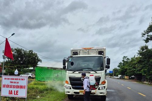 Siết chặt kiểm soát vận chuyển động vật