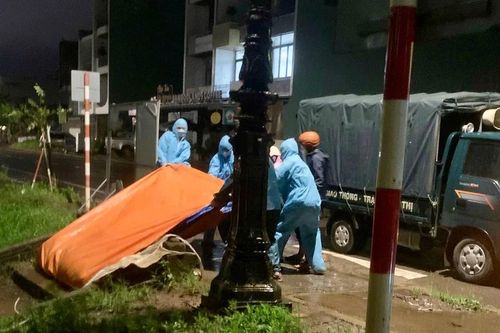 Gia Lai: Tiêu hủy 7 xác heo thả trôi trên lòng suối ở khu vực bờ kè Hội Phú