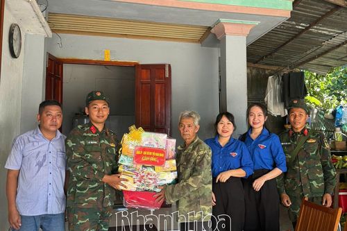 Tiểu đoàn Bộ binh 460 tổ chức nhiều hoạt động dân vận tại xã Diên Thọ