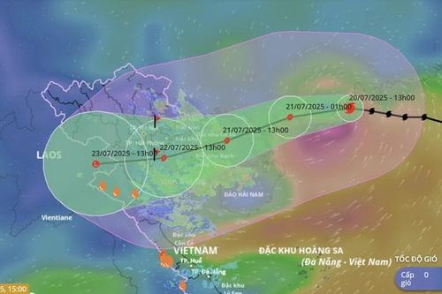 Phú Thọ: Thiệt hại trên 600 triệu đồng do cơn bão số 3