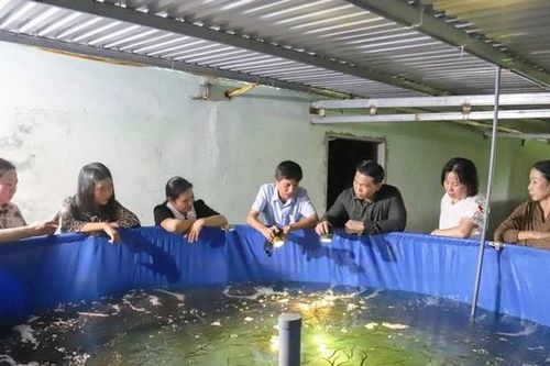 Tiếp tục triển khai hiệu quả các nhiệm vụ khoa học và công nghệ