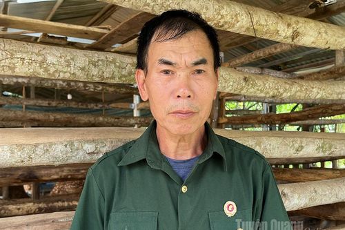 Cựu chiến binh tiên phong nuôi hươu ở Làng Chang