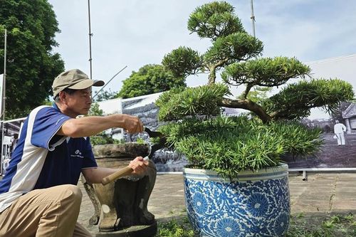 Giữ màu xanh cho di sản