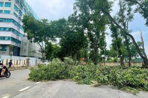 Hà Nội khẩn trương khắc phục sự cố do bão số 3, cảnh báo nguy cơ sạt lở đê điều