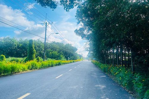 TP.HCM: Tất cả các xã hoàn thành tiêu chí nông thôn mới nâng cao