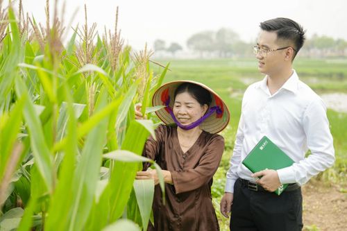 Cần chính sách hỗ trợ để bảo hiểm thành 'tấm khiên' cho người yếu thế